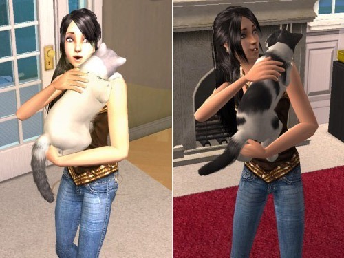 ts2kittyemimmyab6