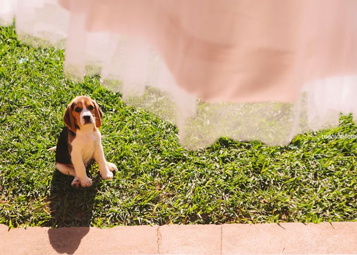 casamento-fotografia004