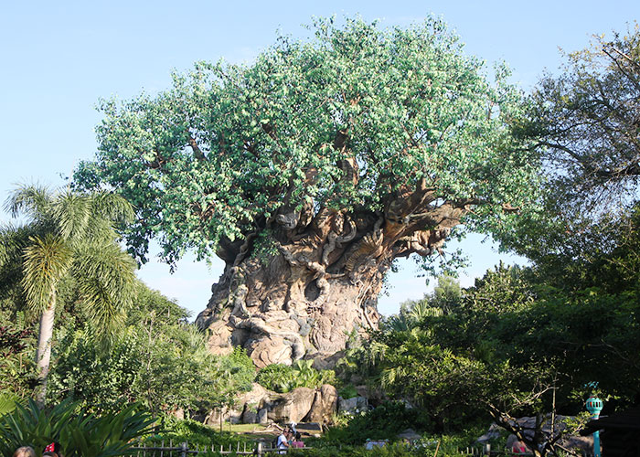 animal-kingdom-013