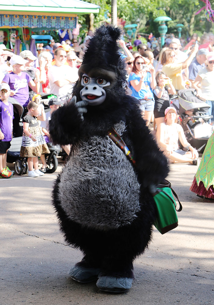 animal-kingdom-025