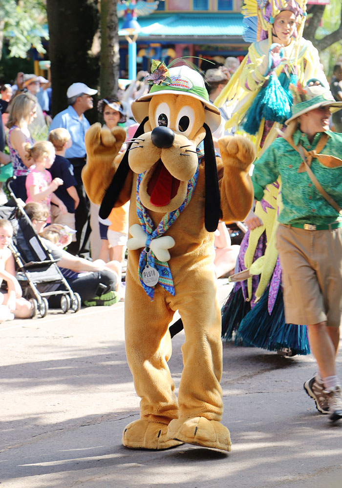 animal-kingdom-026