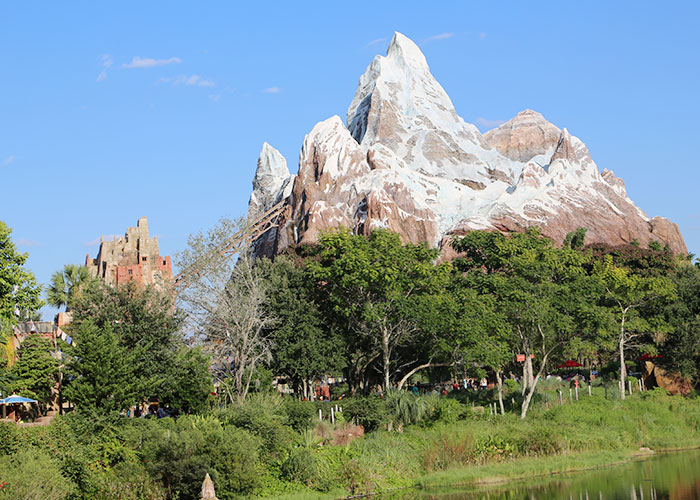 animal-kingdom-029