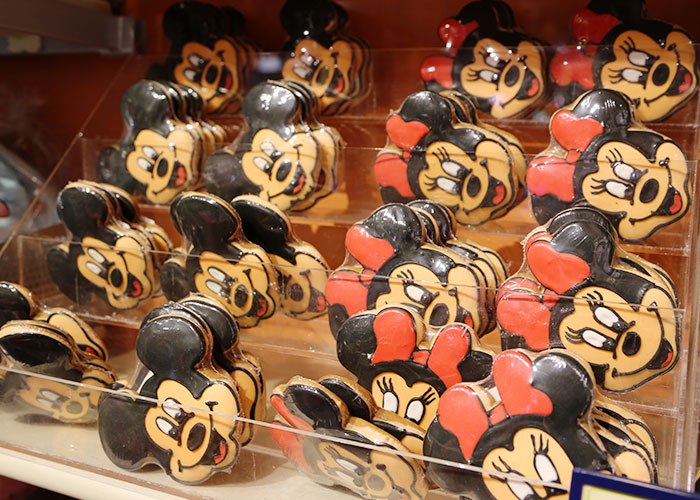 viagem-disney-020