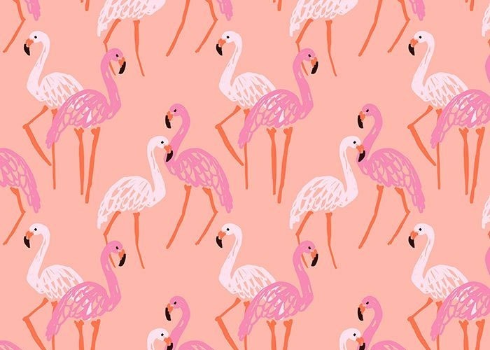 a-flamingo