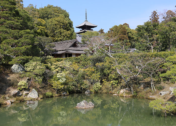 viagem-kyoto-036