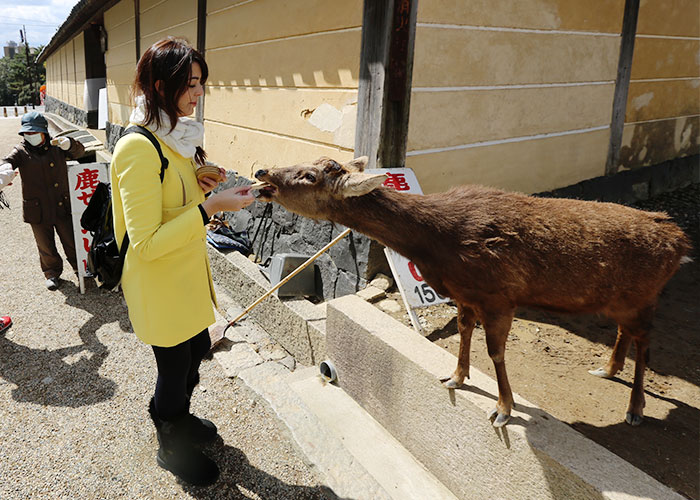 viagem-japao-nara-010