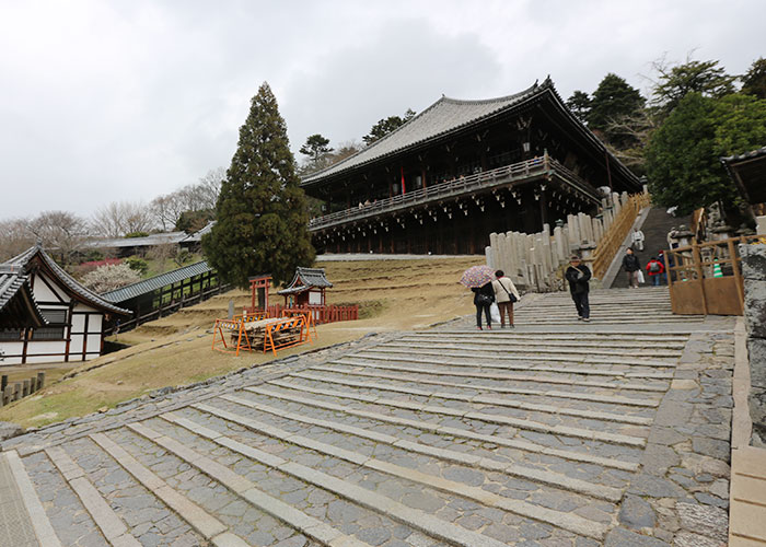 viagem-japao-nara-019