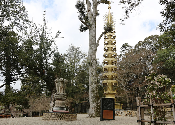 viagem-japao-nara-026