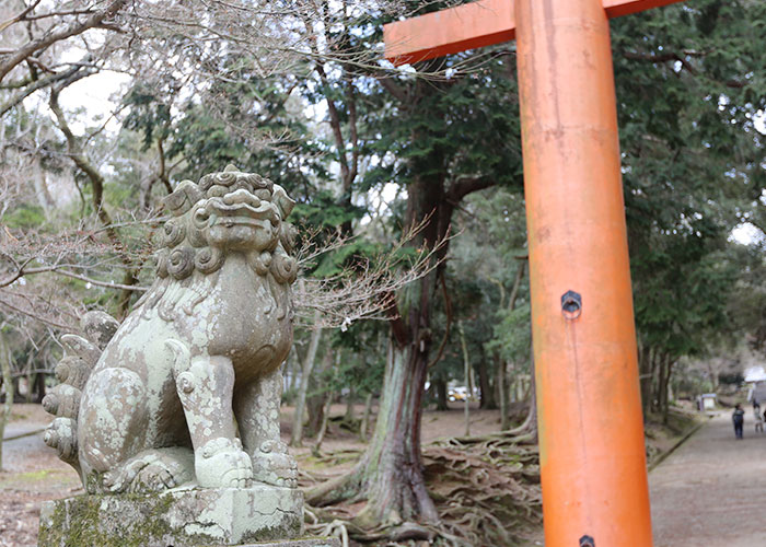 viagem-japao-nara-027