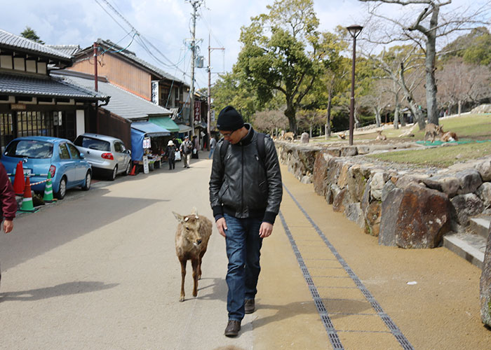 viagem-japao-nara-033