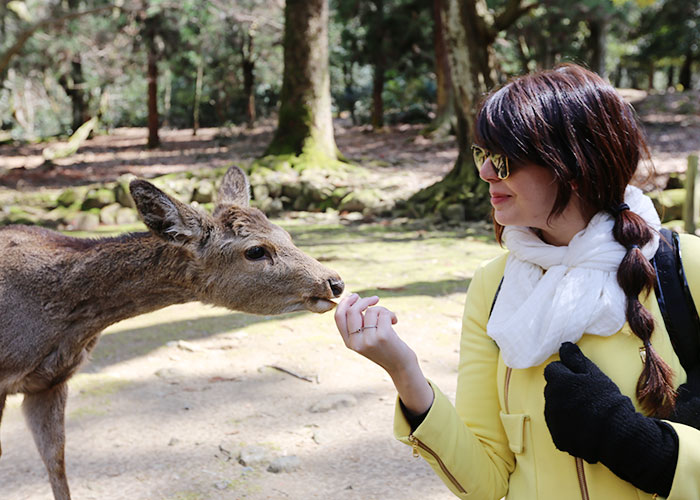 viagem-japao-nara-034