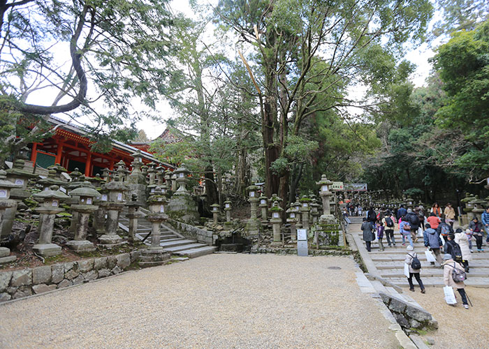 viagem-japao-nara-036