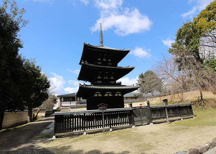 viagem-japao-nara-043