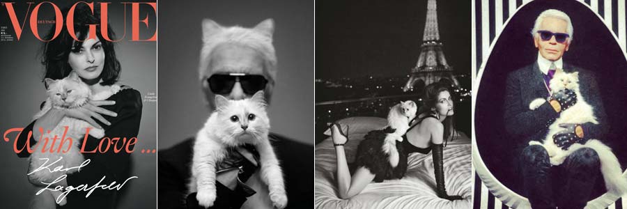 Alguns momentos de Choupette: com o dono e em revistas (SIM, ela foi capa da Vogue 