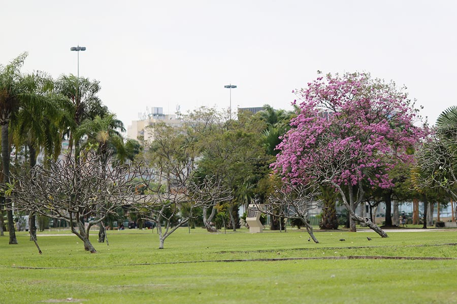 viagem-rio-de-janeiro-015[