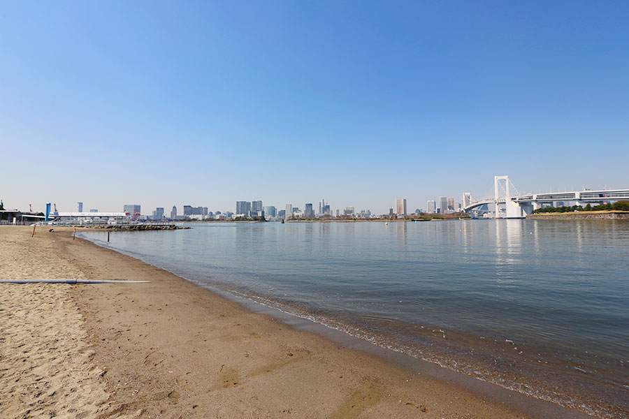 viagem-toquio-odaiba-016