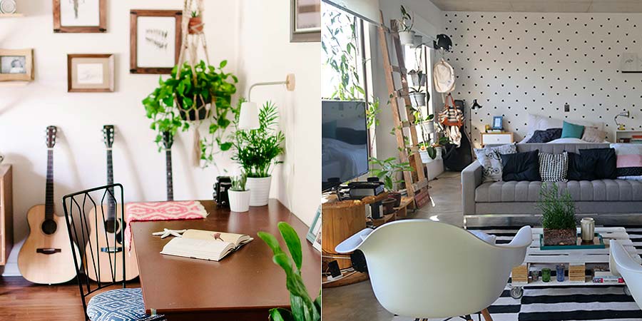 decoracao-plantinhas-no-apartamento-004