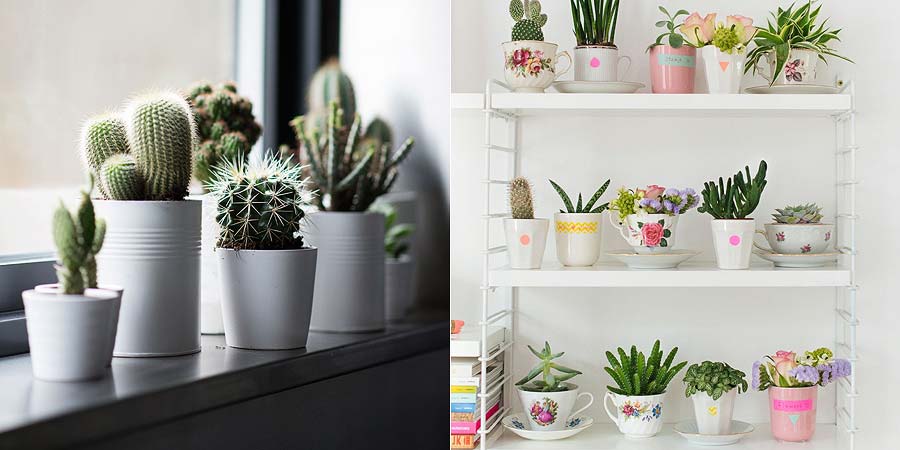 decoracao-plantinhas-no-apartamento-005