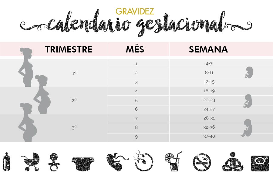 calendario-gestacional