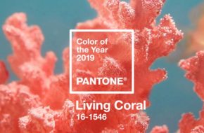 Living Coral é a cor de 2019